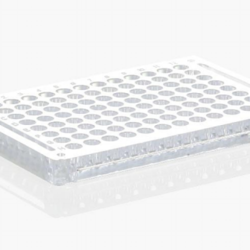 96 Well Reaction Plate (PS)