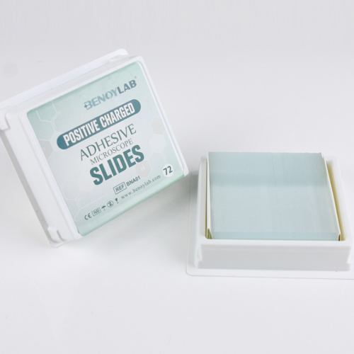 Adhesive Microscope Slides Positive Charged Slides