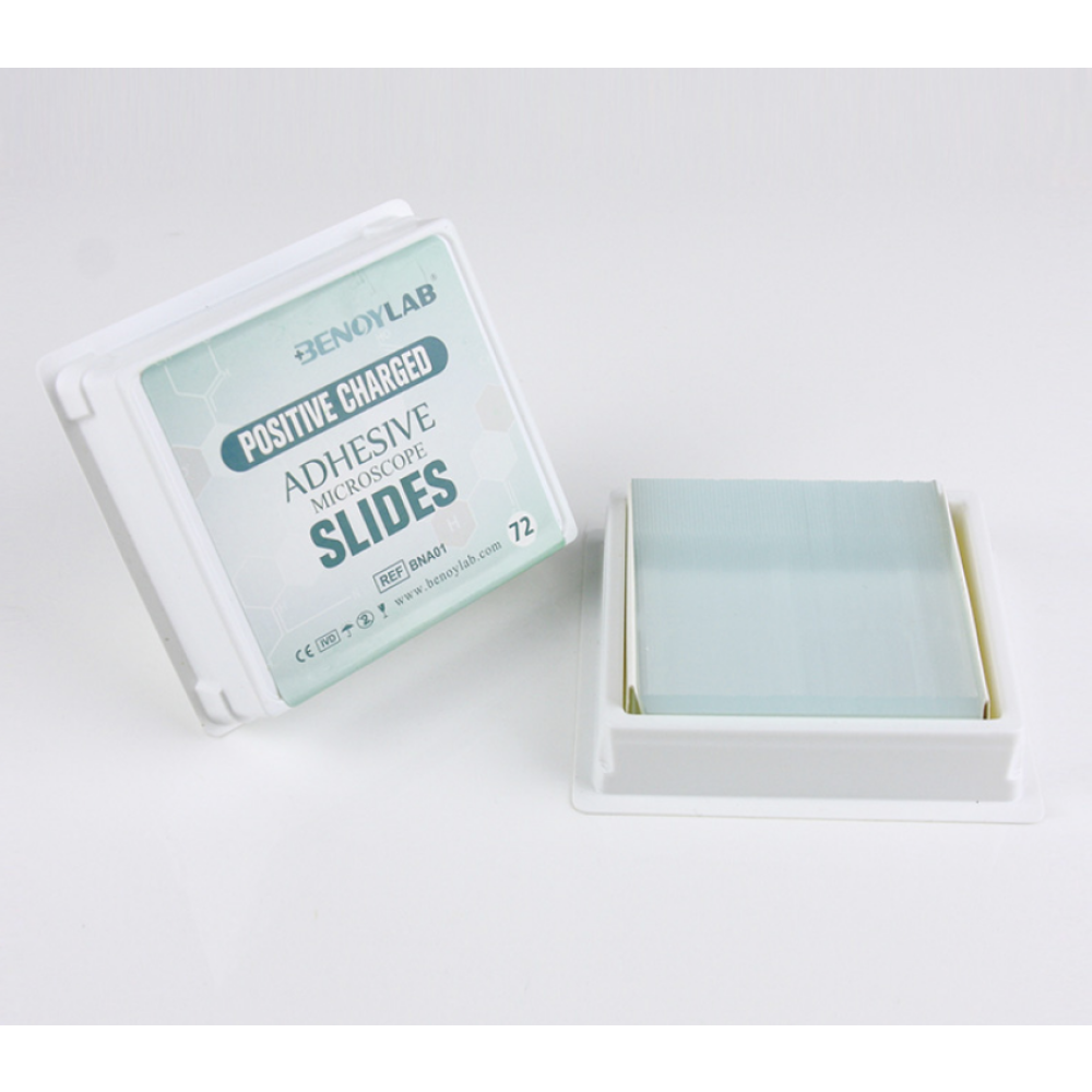 Adhesive Microscope Slides Positive Charged Slides